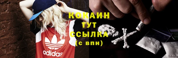 синтетический гашиш Снежногорск
