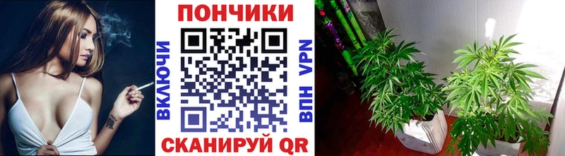 МАРИХУАНА план  hydra ссылка  Бологое 